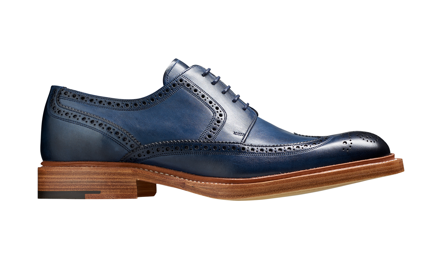 Bailey - Navy Hand Painted - Wingtip Derby Shoe